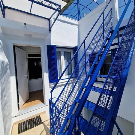 The Blue House *